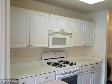 4713 Shellbark Rd, Owings Mills, MD 21117 - photo 5