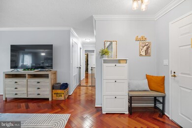 5901 Mount Eagle Dr unit 215, Alexandria, VA 22303 - photo 4