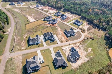 825 Mccleary Dr, Oxford, MS 38655 - photo 5