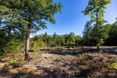 17 Sedgewood Dr, Tuftonboro, NH 03816 - photo 5