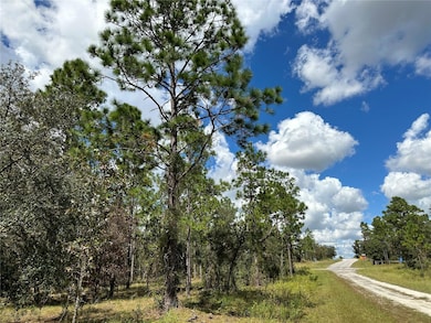 TBD SE 134 Ct, Dunnellon, FL 34431 - photo 2