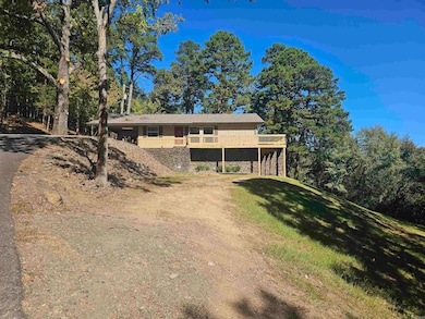 1717 N Fourche Ave, Perryville, AR 72126 - photo 2