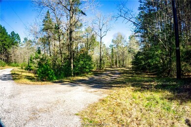 Tract #2 Deerpond Rd, Other, TX 75904 - photo 5