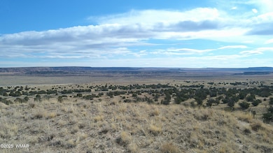 DSCF0029