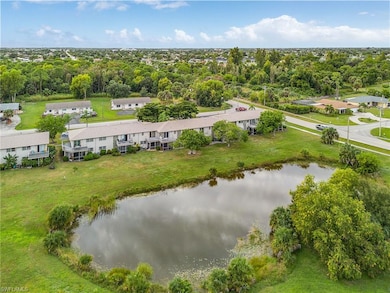 Aerial view of a tree filled landscape and a nearby body of water
