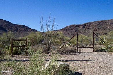 Hiking Trail