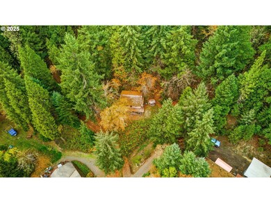 48117 E 2nd St, Oakridge, OR 97463 - photo 6