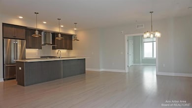 441 S Ashley St unit 405, Ann Arbor, MI 48103 - photo 4