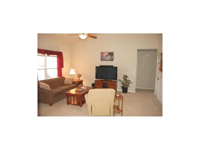 Tons of natural light!