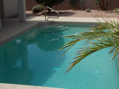 Large Pool