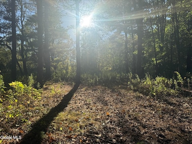 2482 Troy Schenectady Rd, Niskayuna, NY 12309 - photo 7