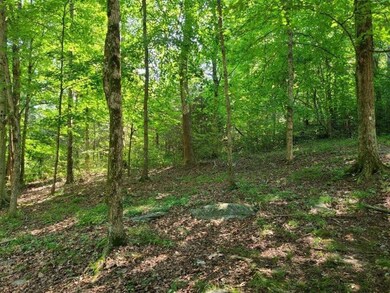 3176 Dixie Bend Rd, Burnside, KY 42519 - photo 3