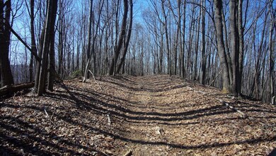 0 Vannoy Ridge Rd unit LotWP001 19604817, Brushy Mountain, NC 28654 - photo 2
