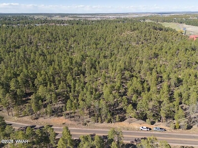 0 E Woolford Rd, Show Low, AZ 85901 - photo 5