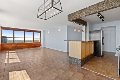 Park Place Tower unit 4101, Chicago, IL 60613 - photo 5