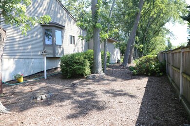 Private side yard