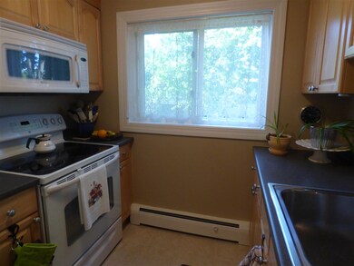 21 Spaulding St unit 1, Milford, NH 03055 - photo 7