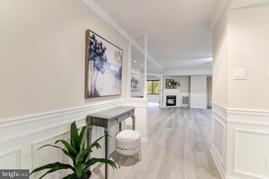 Lakeside Plaza Condominium unit 302, Baileys Crossroads, VA 22041 - photo 4