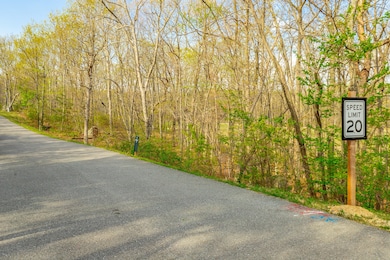 0 Old Rocky Trail unit RTC2866646, Rising Fawn, GA 30738 - photo 5