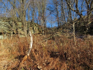 30269 County Road 22, Theresa, NY 13691 - photo 7