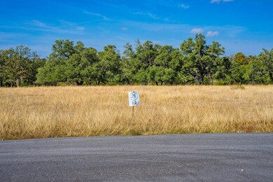 Lot 12 Other unit 12, Harper, TX 78631 - photo 5