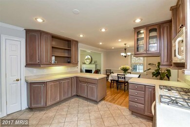 1009 Potomac Ln, Alexandria, VA 22308 - photo 6