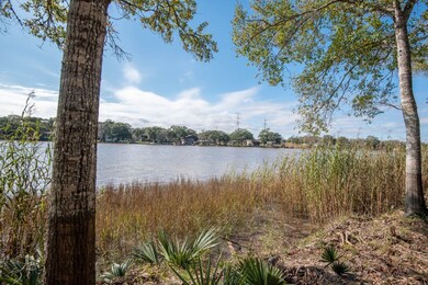 0 Fm 2611 Pvt Rd, Brazoria, TX 77422 - photo 6