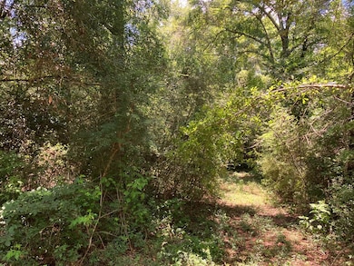 0 Mississippi 48, Tylertown, MS 39667 - photo 4