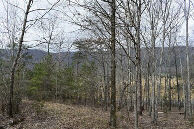 _DSC0580