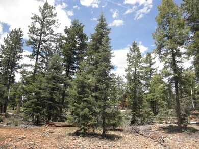 Lot Picture 2