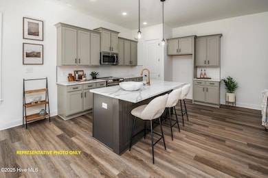 1717 Dixon Grove Ln, Grimesland, NC 27837 - photo 3