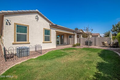 25 grassy back yard