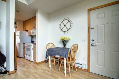 343 W Doty St unit 2, Madison, WI 53703 - photo 4