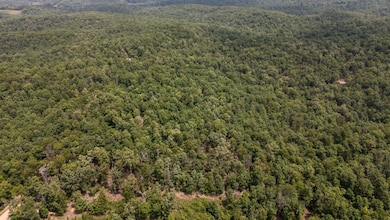 000 Highway Y, Elk Creek, MO 65464 - photo 5