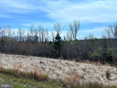 Lot 5 Downton Ave, Livingston, VA 22553 - photo 4