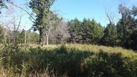 622 S Rosewood St, Shell Knob, MO 65747 - photo 5