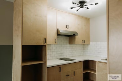 870 Old Alice Rd, Brownsville, TX 78520 - photo 5