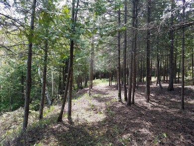 Balsam Bluff Lots (1)