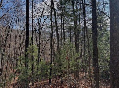 0 Evergreen Ln unit 7686011, Dillard, GA 30537 - photo 6