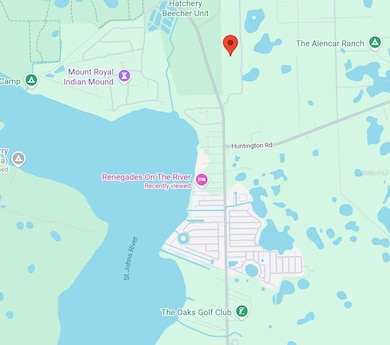 175 Oak Run Rd, Crescent City, FL 32112 - photo 5