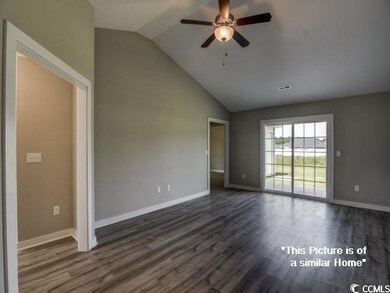 2928 Biscane Ct unit Lot 255, Conway, SC 29527 - photo 4