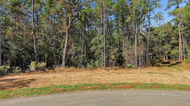 25219 Chisos Bend, Montgomery, TX 77316 - photo 3