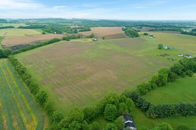 04-DJI_0045
