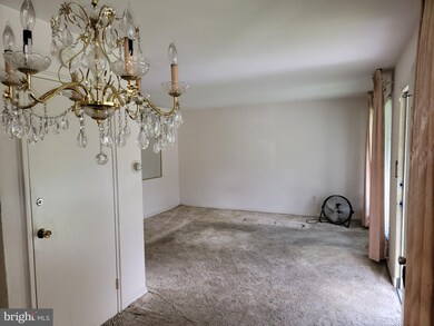 1003 Rosedale Place, Hyattsville, MD 20782 - photo 7