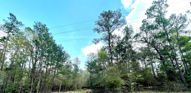 0000 Little John Cir, Hockley, TX 77447 - photo 7