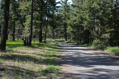 0 Winston Rd unit 607827, Ronald, WA 98940 - photo 5