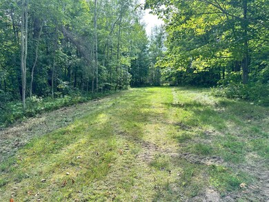 TBD N Blackduk Lake Rd, Blackduck, MN 56647 - photo 6