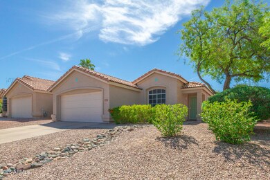 Low Maintenance Front Yard