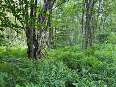 0 Kimball Camp Rd unit S1622094, Orwell, NY 13426 - photo 4