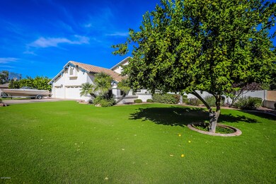 Lush, green front yard landscaping